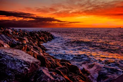 Beach Marina di Pisa - Marina di Pisa - Toscana - Italy | Beachrex.com