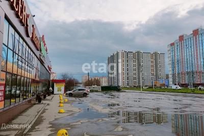 Жители ЖК «Матрешкин двор» в Новосибирске три года пытаются решить проблему  опасного пути до школы - 17 апреля 2023 - НГС.ру