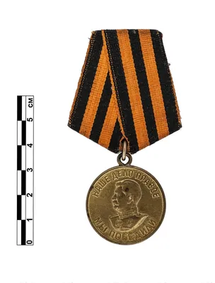 Медаль за победу над Германией фото