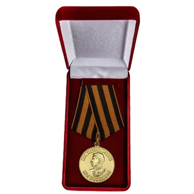Медаль За победу над Германией | Ретро Мир | Дзен