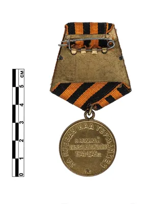 Памятная Медаль За Победу над Германией (60 лет Победы) купить недорого