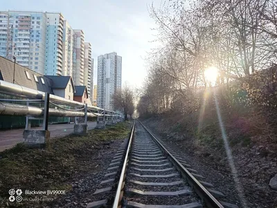 Северное Медведково. Вид из окна. | Пикабу