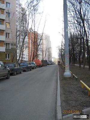 File:Группа старых лип в усадьбе Медведково (Москва).jpg - Wikimedia Commons