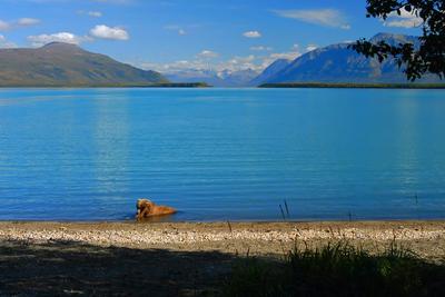 Озеро Медвежье (95 фото) »