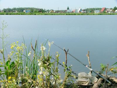 Озера в Новосибирске, где отдохнуть летом в Новосибирске, июнь - 3 июня  2021 - НГС.ру