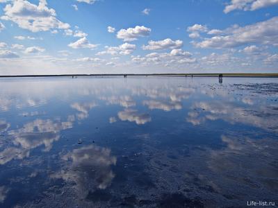 Курганская область озеро медвежье - 63 фото