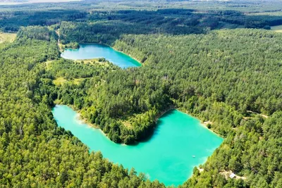 Меловые озера в Беларуси: где находятся, фото 2024, как доехать, отели —  Туристер.Ру