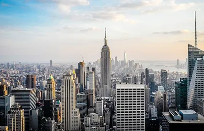 Мэр Нью-Йорка решил подселять нелегалов в квартиры горожан | Общество |  Аргументы и Факты