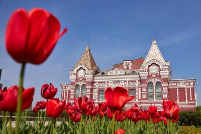 В Самаре определена окончательная дата открытия Вертолетной площадки –  Коммерсантъ Самара