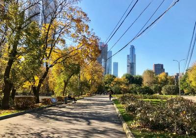 Самые красивые места для фотосессий в Москве - Мослента