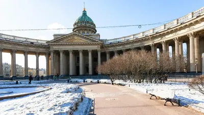 Барные» улицы Санкт-Петербурга заполнились арендаторами