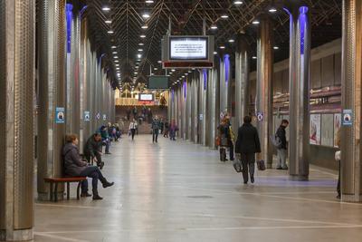 Как, по моему мнению, должно выглядеть идеальное метро в Новосибирске через  десять лет | Л.Е.С. | Дзен