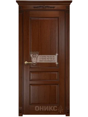 Межкомнатная дверь ECOLINE Италия НЬЮ 1 ДГ купить в Уфе недорого от  производителя | «Дверная Марка»