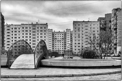 МКР Родники (серия Red) купить квартиру - цены от официального застройщика  в Новосибирске
