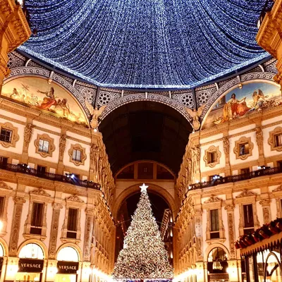 Новогодняя ель в Милане стала посмешищем для всего мира
