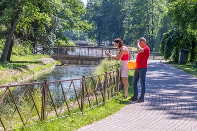 Все службы Минска готовы к работе в предстоящие новогодние праздники - Минск -новости