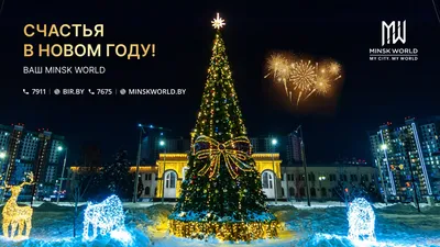 Новый год в Минске (автобус 4)