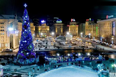 На новогодний фейерверк в Минске из бюджета потратят 30 тысяч долларов -  belsat.eu