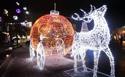 Новогодние елки установят во всех районах Минска к середине декабря - Минск -новости