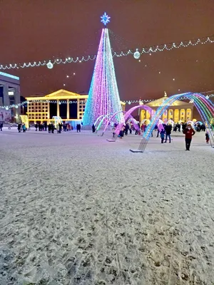 Как украсят новогодние ёлки в Минске? Дизайнеры показали эскизы — Фото |  Telegraf - Новости | Дзен
