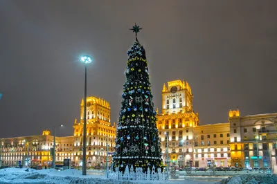 В Минске ставят новогодние елки. Посмотрите, как они выглядят - все о  туризме и отдыхе в Беларуси