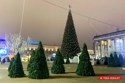 Минск ждет кульминацию новогодних мероприятий - Минская правда