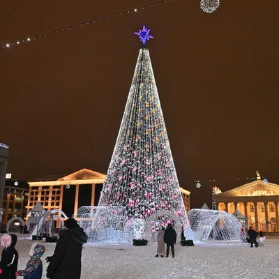 Новый год и Рождество в Минске © цена и отзывы 2023 года • Travel Mania