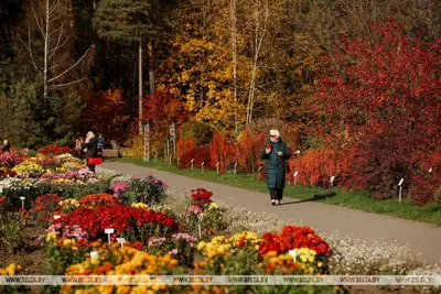 Золотая осень в Минске стоковое фото. изображение насчитывающей театр -  45595506