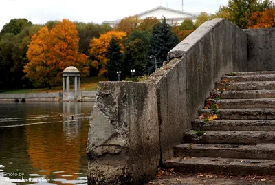 Золотая осень в Минске