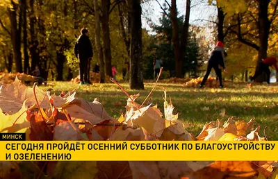 Осенний Минск_Russian.news.cn