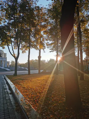 Теплый ламповый Минск: осень в городе на архивных фото 60-80-х -  26.09.2021, Sputnik Беларусь