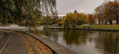Осень над парком Победы в Минске | Фотограф Александр Светогор | Фото №  40214
