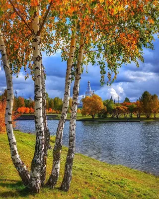 Фотофакт. Осенние пейзажи Минска
