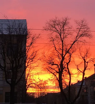 Осень в городе | Пикабу