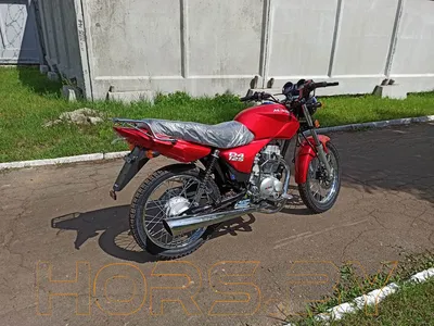 2 Loud Custom Shop: Скрэмблер Ducati GT1000 » Моторынок Беларуси - Покупка  и продажа мотоциклов