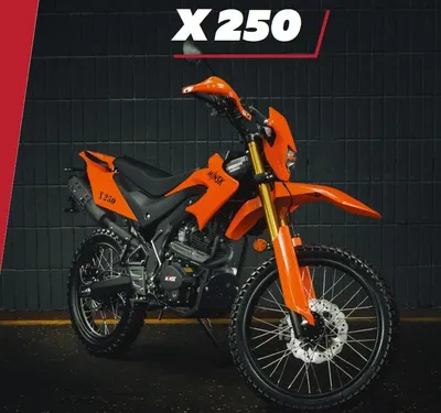 Купить Мотоцикл Минск X 250 (M1NSK X250) Черно-белый камуфляж + 5 Бонусов  цена - dobrabel