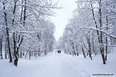 Приезжайте в Минск зимой. Почему? | Путешествия Скобарей | Дзен