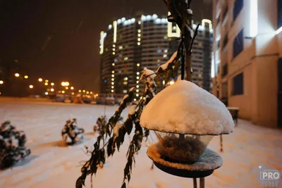 Минск зимой - фото и картинки: 75 штук