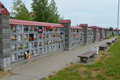 Как работает крематорий в Белоруссии | Мысли циничного москвича | Дзен