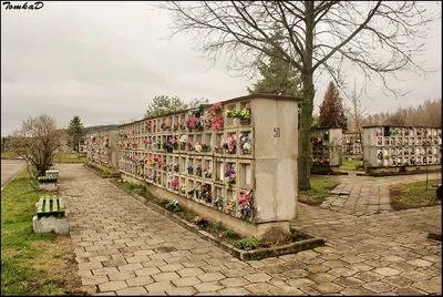 Действующие кладбища в Минске 2023: захоронение, кремация, семейный  колумбарий, как убрать дерево с могилы - KP.RU