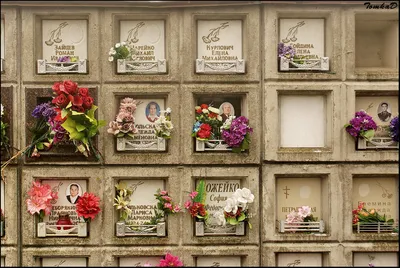 Крематорий в Бобруйске: что думают люди