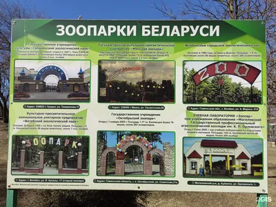 Студенты смогут попасть в Минский зоопарк со скидкой.