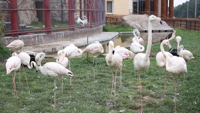 Зоопарк в Минске | Блог про туризм и путешествия