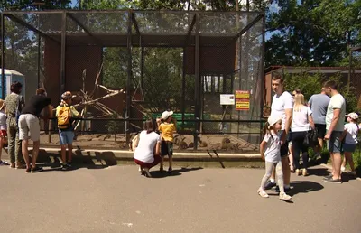 Зоопарк, Минск, Беларусь - «Выходной в минском зоопарке. Мини-обзор  обитателей, забавные моменты» | отзывы