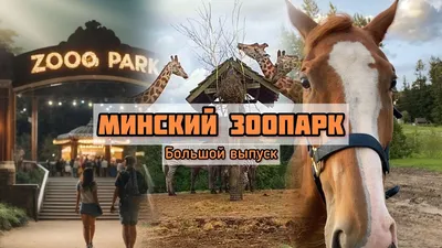Belarus: one day: Минский зоопарк и дельфинарий