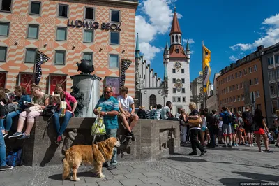 Мюнхен: самостоятельный тур по загадкам Старого города | GetYourGuide
