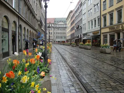 О цветах на улицах Мюнхена и прочих забытых историях...