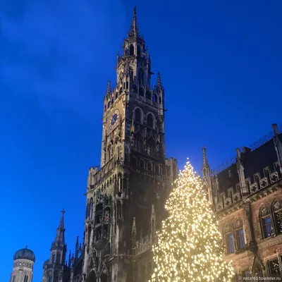 Автобусный тур в Мюнхен и Замок Нойшванштайн на Рождество из Польши