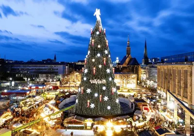 Соло путешествие в Мюнхен: Рождественские ярмарки | Утки | Английский сад -  YouTube