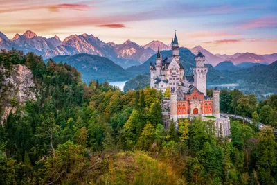 Мюнхен: замок Нойшванштайн и многое другое: индивидуальный тур |  GetYourGuide